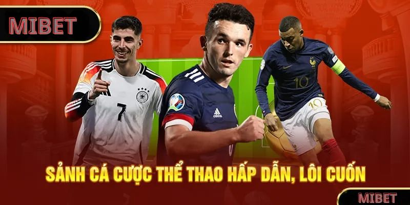 Sảnh cá cược thể thao hấp dẫn, lôi cuốn